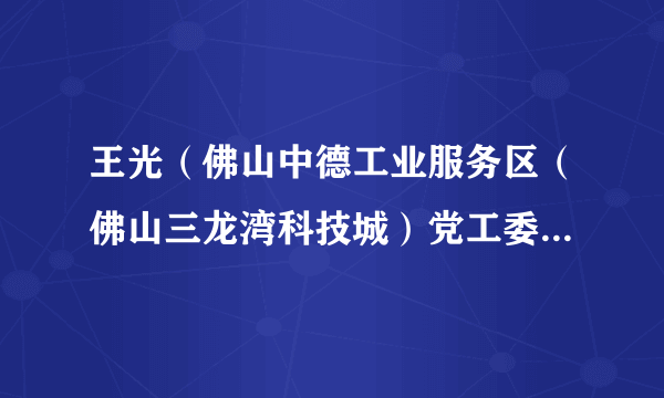 王光（佛山中德工业服务区（佛山三龙湾科技城）党工委委员、管理委员会副主任）