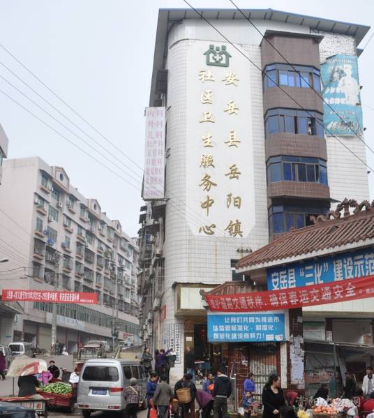 岳阳镇（四川省资阳市安岳县下辖镇）