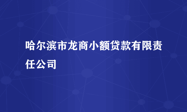 哈尔滨市龙商小额贷款有限责任公司
