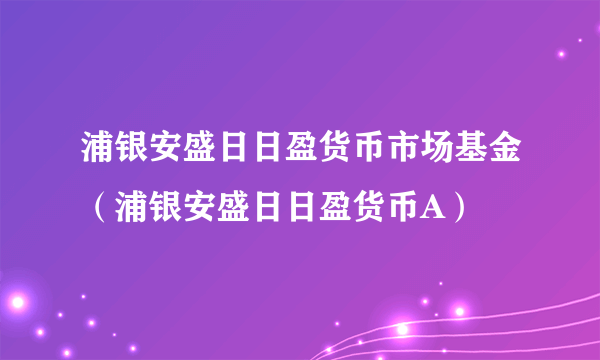 浦银安盛日日盈货币市场基金（浦银安盛日日盈货币A）