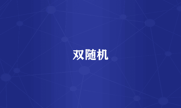 双随机