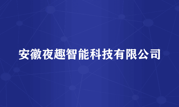 安徽夜趣智能科技有限公司