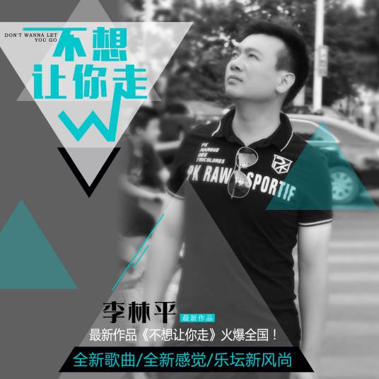 不想让你走（李林平演唱的歌曲）