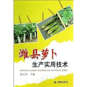 潍县萝卜生产实用技术