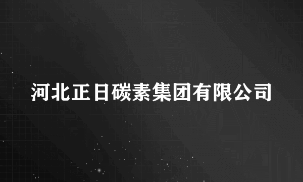 河北正日碳素集团有限公司