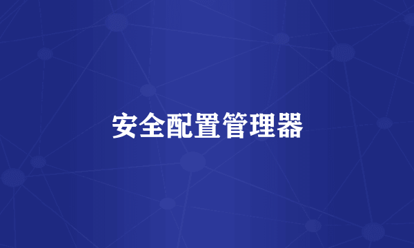 安全配置管理器