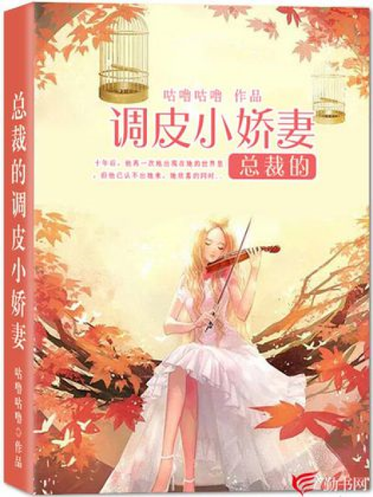 总裁的调皮小娇妻