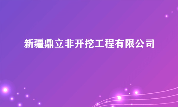 新疆鼎立非开挖工程有限公司
