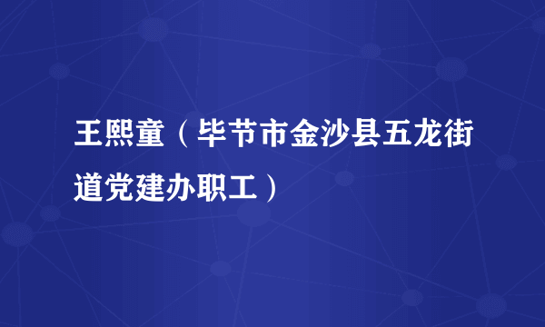 王熙童（毕节市金沙县五龙街道党建办职工）