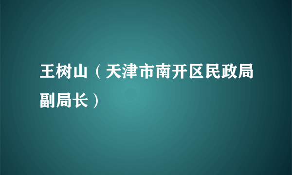 王树山（天津市南开区民政局副局长）