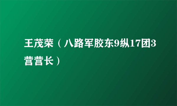 王茂荣（八路军胶东9纵17团3营营长）