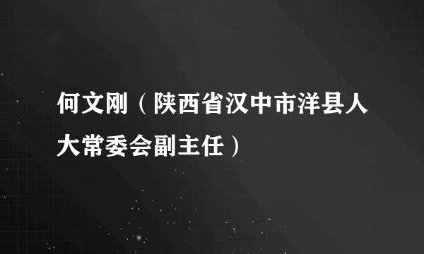 何文刚（陕西省汉中市洋县人大常委会副主任）