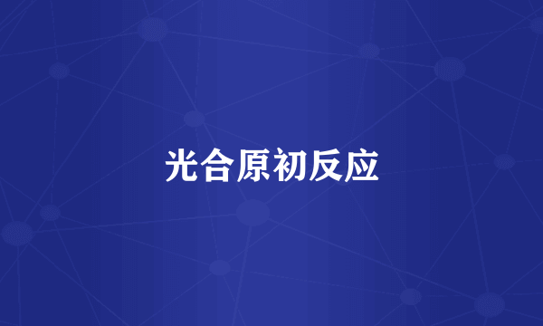 光合原初反应