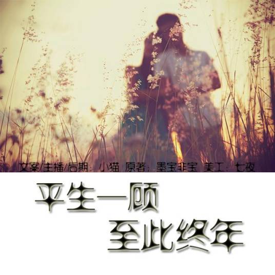 顾平生（墨宝非宝小说《至此终年》中男主角）