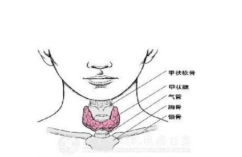 继发性甲减