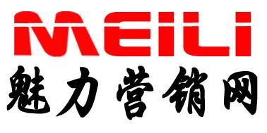 魅力网络营销策划