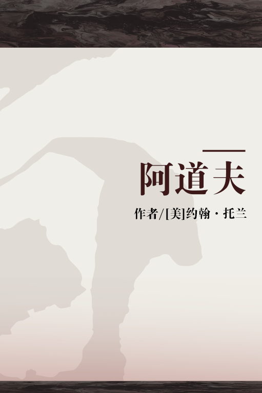 阿道夫（2009年国际文化出版公司出版的图书）