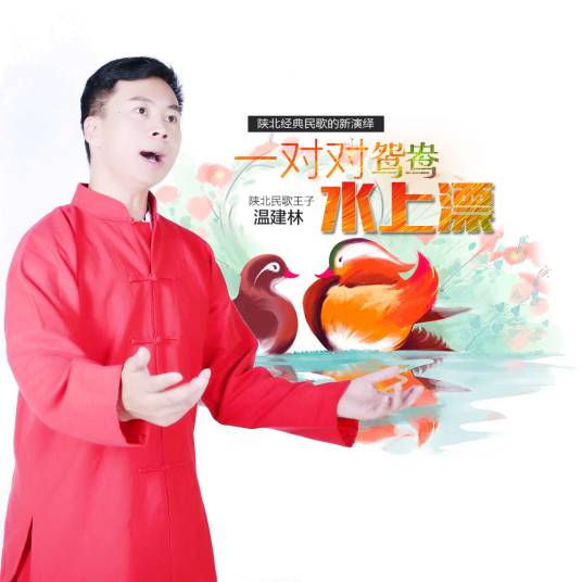 一对对鸳鸯水上漂（一首温建林演唱的歌曲）