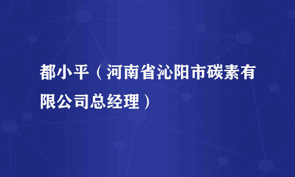 都小平（河南省沁阳市碳素有限公司总经理）