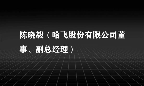 陈晓毅（哈飞股份有限公司董事、副总经理）