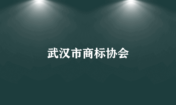 武汉市商标协会
