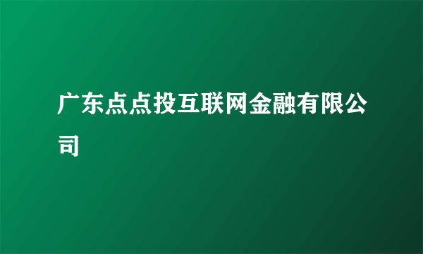广东点点投互联网金融有限公司