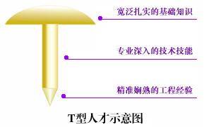 T型人才