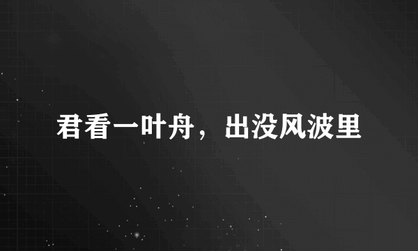 君看一叶舟，出没风波里