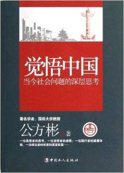 觉悟中国：当今社会问题的深层思考