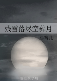 残雪落尽空葬月