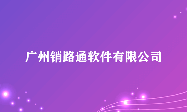 广州销路通软件有限公司