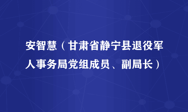 安智慧（甘肃省静宁县退役军人事务局党组成员、副局长）