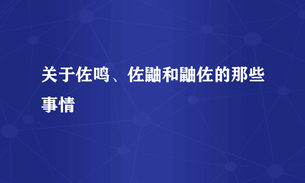 关于佐鸣、佐鼬和鼬佐的那些事情