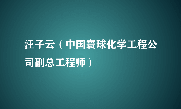 汪子云（中国寰球化学工程公司副总工程师）