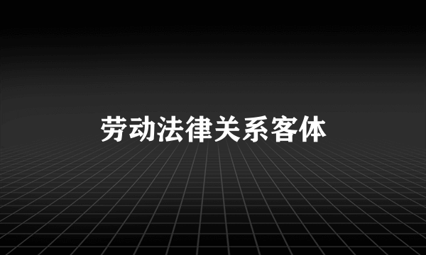 劳动法律关系客体