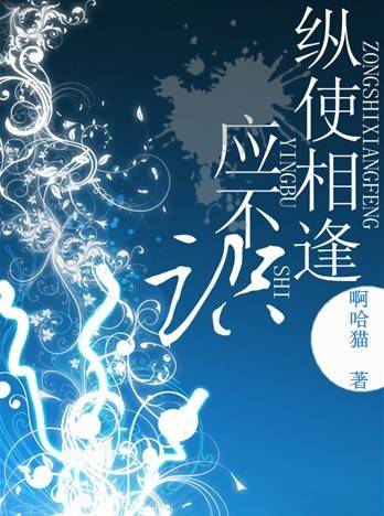 纵使相逢应不识（啊哈猫创作的原创类网络小说）