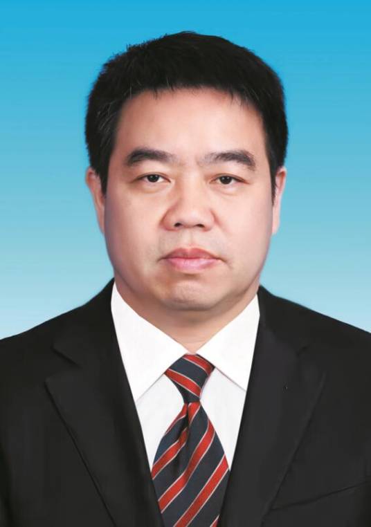 陈金富（重庆市丰都县委常委，县人民政府常务副县长）