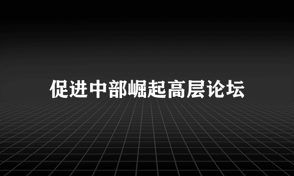 促进中部崛起高层论坛