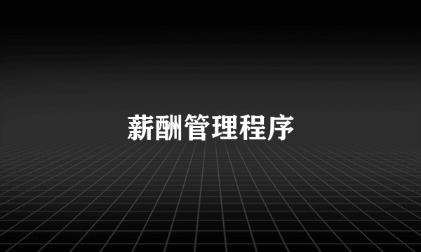 薪酬管理程序