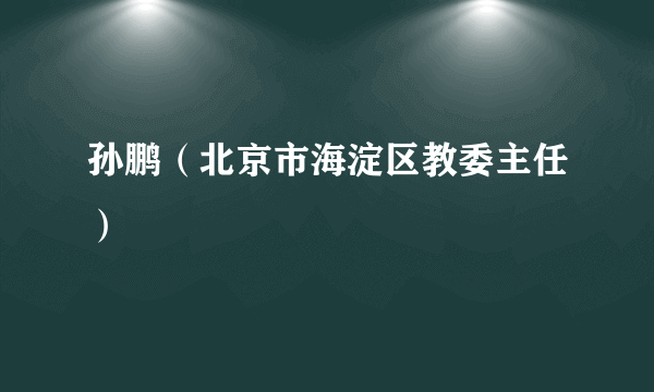 孙鹏（北京市海淀区教委主任）