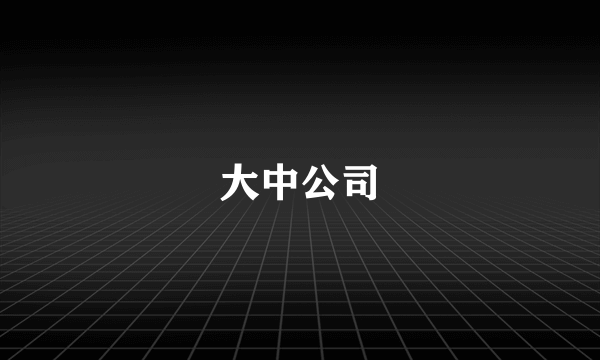 大中公司