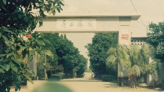 广西林学院