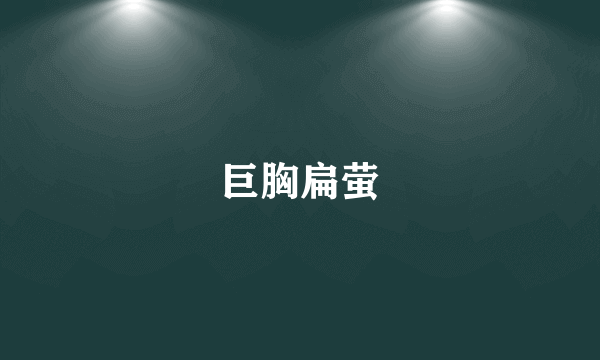 巨胸扁萤
