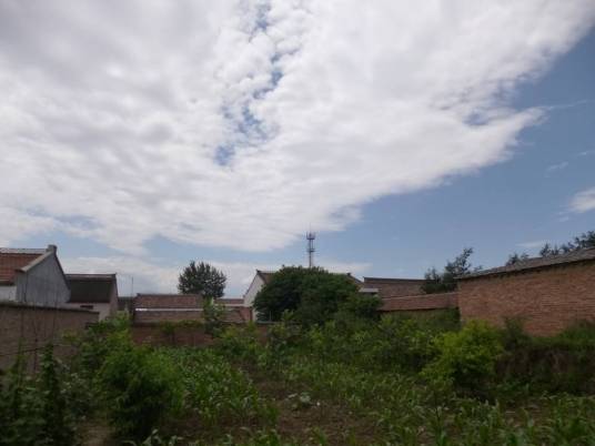 花园村（陕西宝鸡市陈仓区桥镇下辖村）