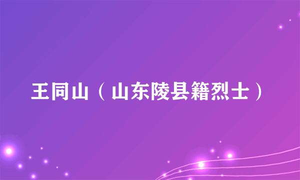 王同山（山东陵县籍烈士）