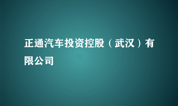 正通汽车投资控股（武汉）有限公司