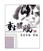 重生鲲鹏