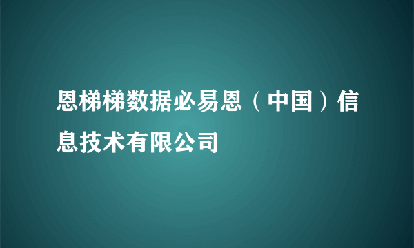恩梯梯数据必易恩（中国）信息技术有限公司