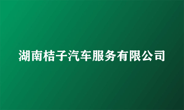 湖南桔子汽车服务有限公司