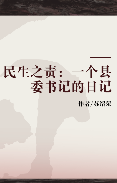 民生之责：一个县委书记的日记